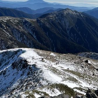 近くて遠い蝙蝠🦇