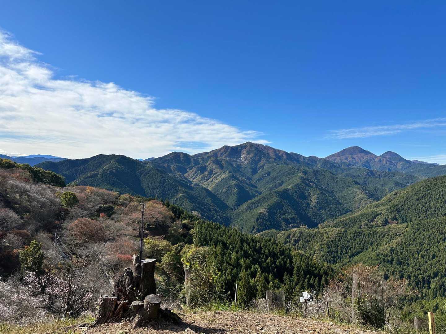 低山の紅葉はこれからかしら🍁