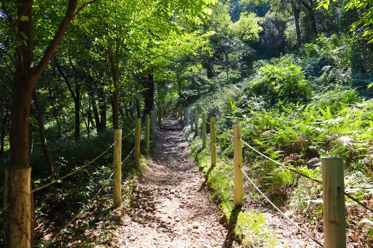 鳩吹山 往復コースの写真