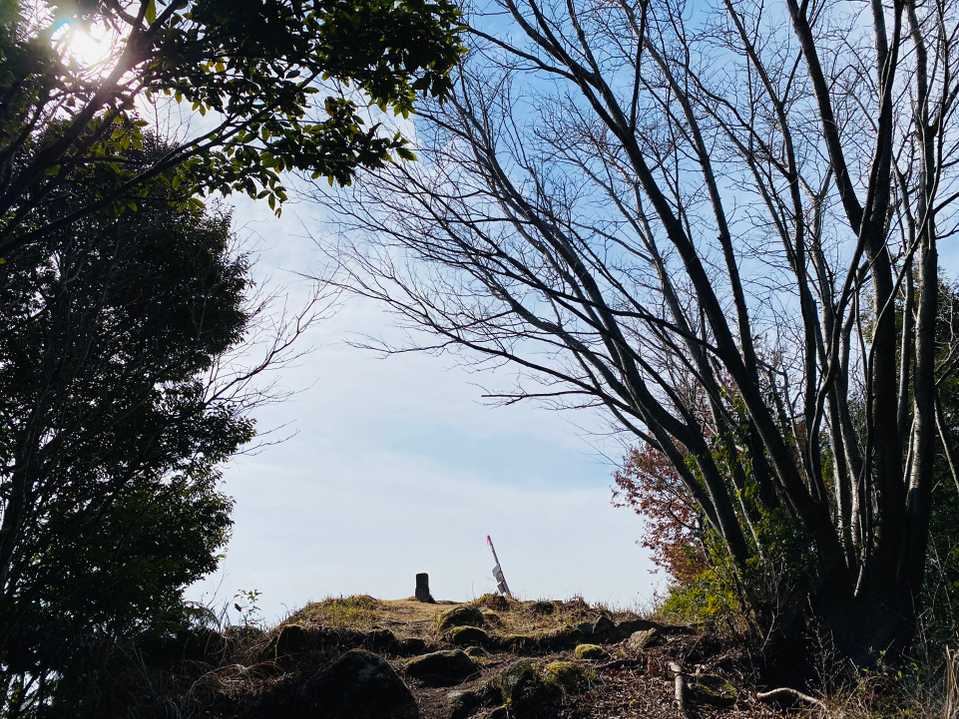  山頂