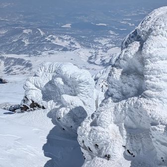 嬉しすぎるー😆