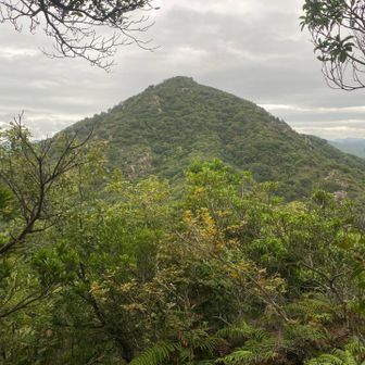 佐野山から見える楞厳寺山。いい感じたね。