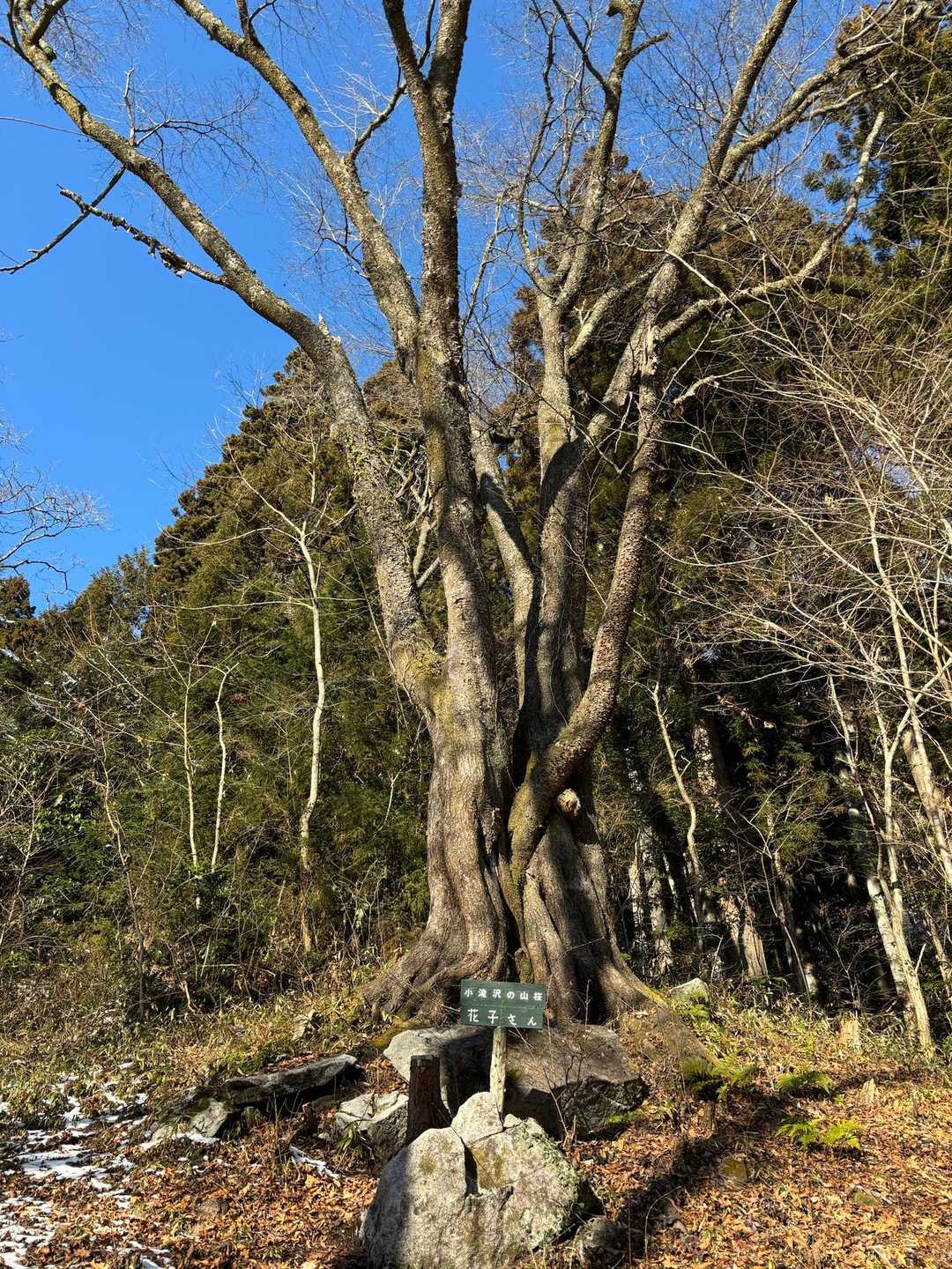 花子さん
行って来ます😃✨