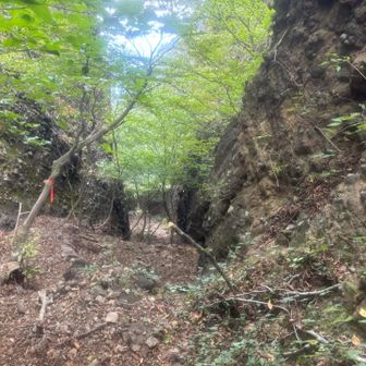 ここから下る。ここもなかなか激降り