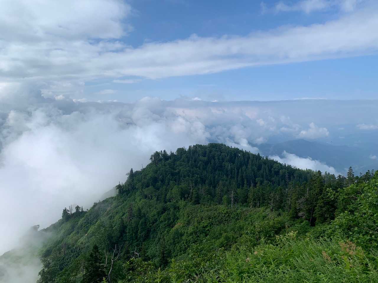 下山中に晴れてくる😓
お山あるある