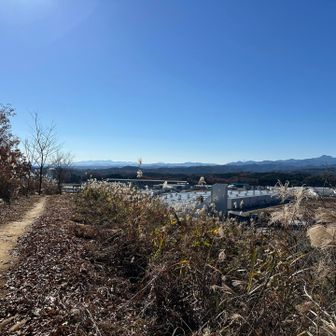 青空の下を歩くとそれだけで心が晴れる☀️