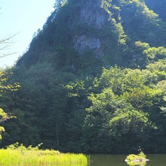 大沼