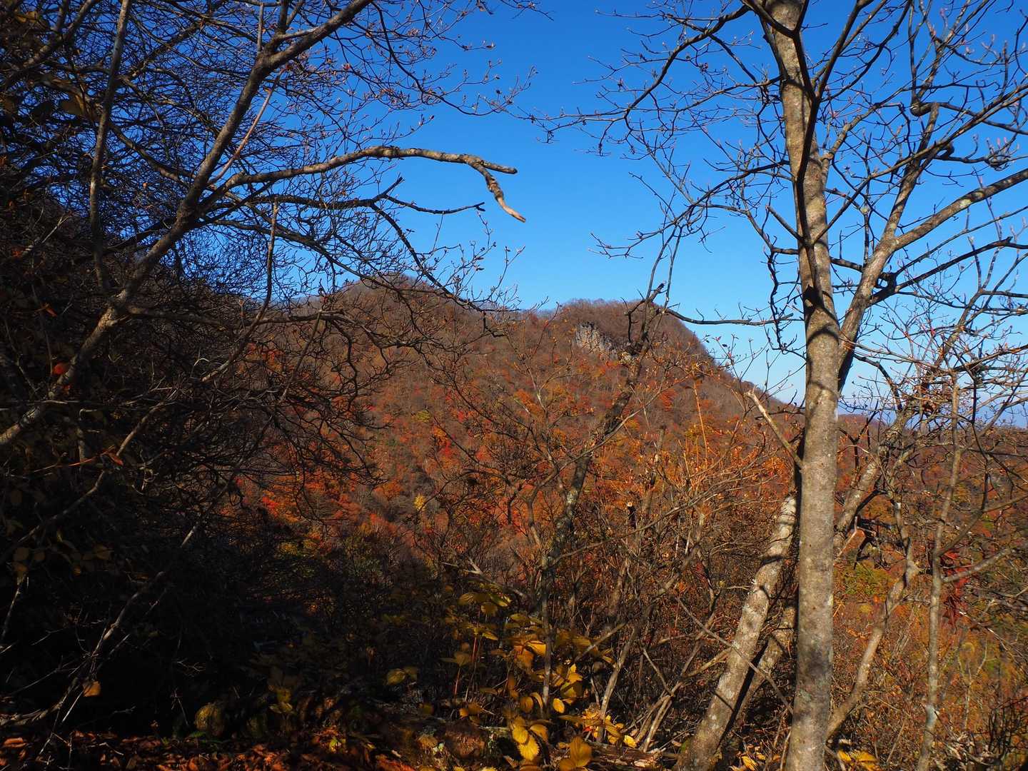 お！笠岩のところ、山肌、紅いね(＊ﾟ∀ﾟ)=3