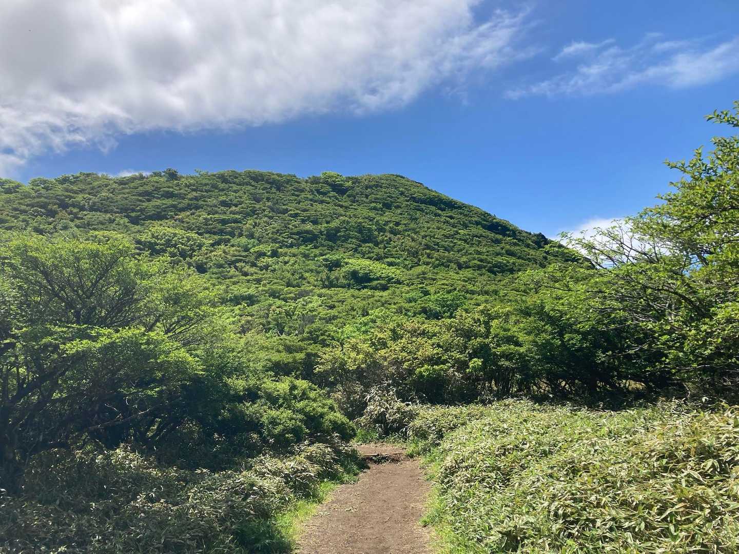 湖尻バス停-防ヶ沢登山口入口-防ヶ沢登山口-神山-箱根駒ヶ 往復コースの写真