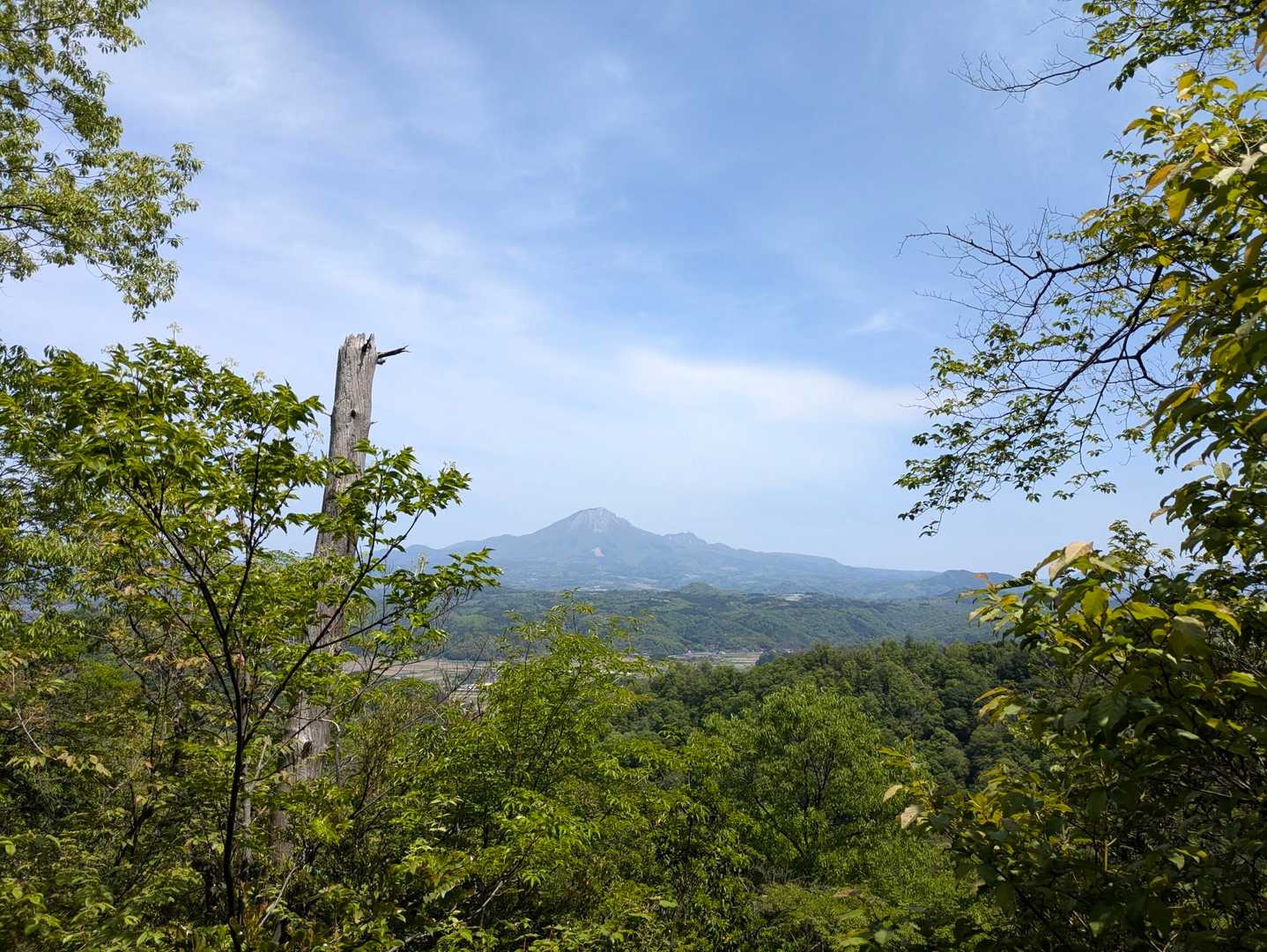 木々の隙間から大山。
では　ちょっと離れた次のお山へ٩( 'ω' )و