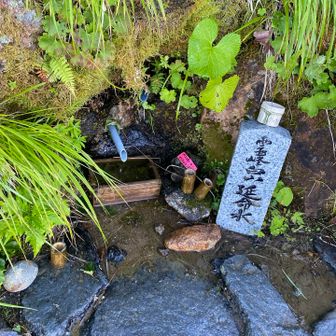 延命水飲んだら...鉄分多め🤔？