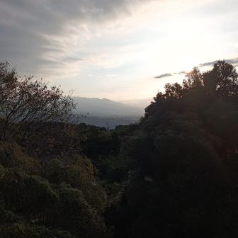 富士山は雲隠れしてますが
この後で登ります
無事に富士登山出来ます様に🙏😻