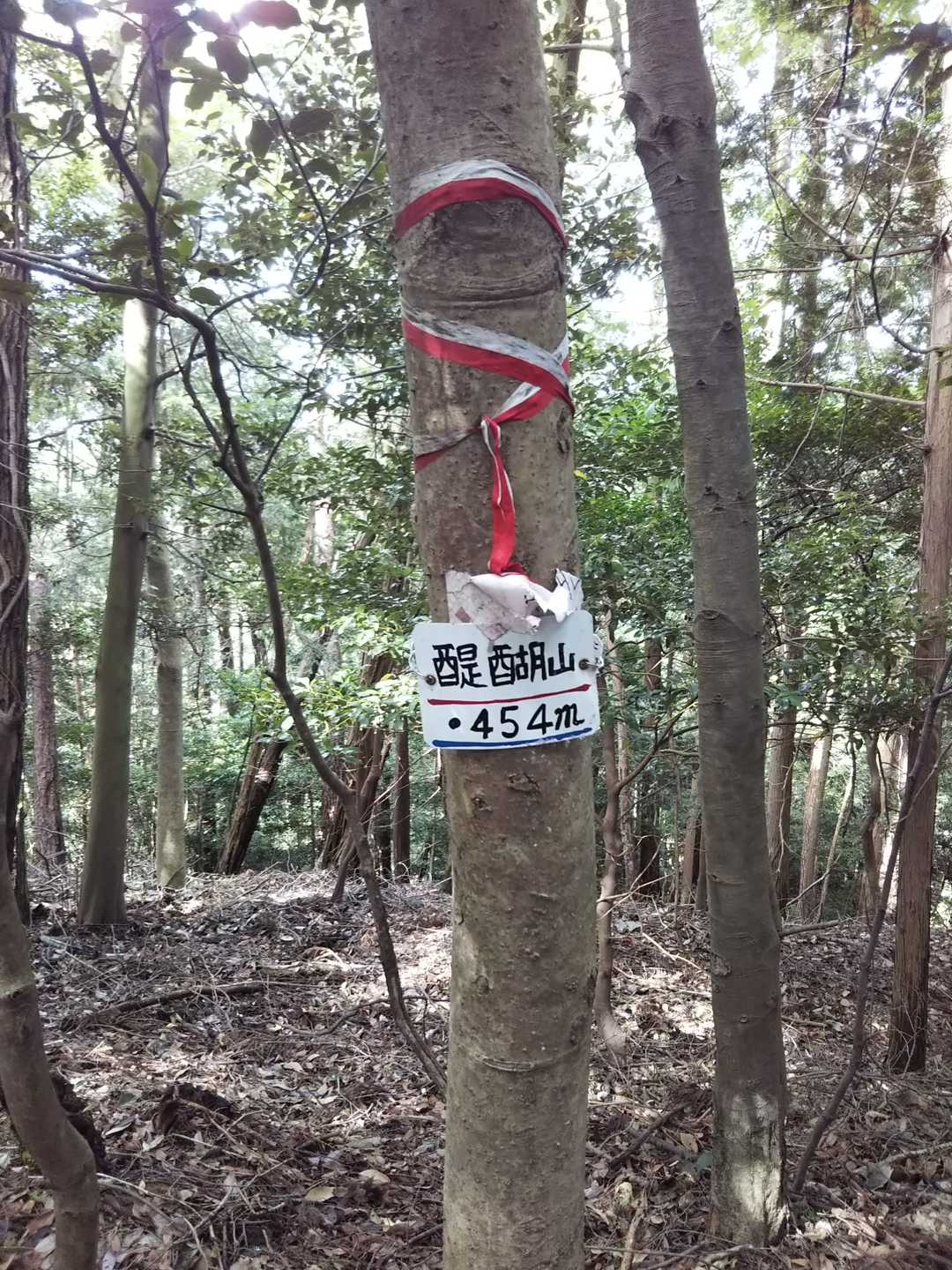 醍醐山に始めて登頂。尾根道にこの表示があるだけで、何もありませんでした。