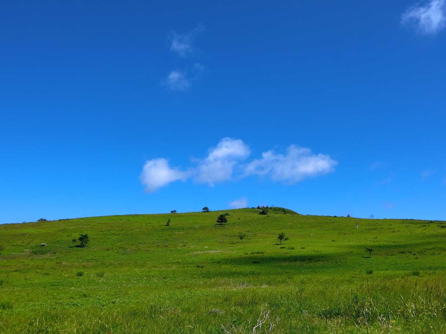 青と緑の美しい風景。