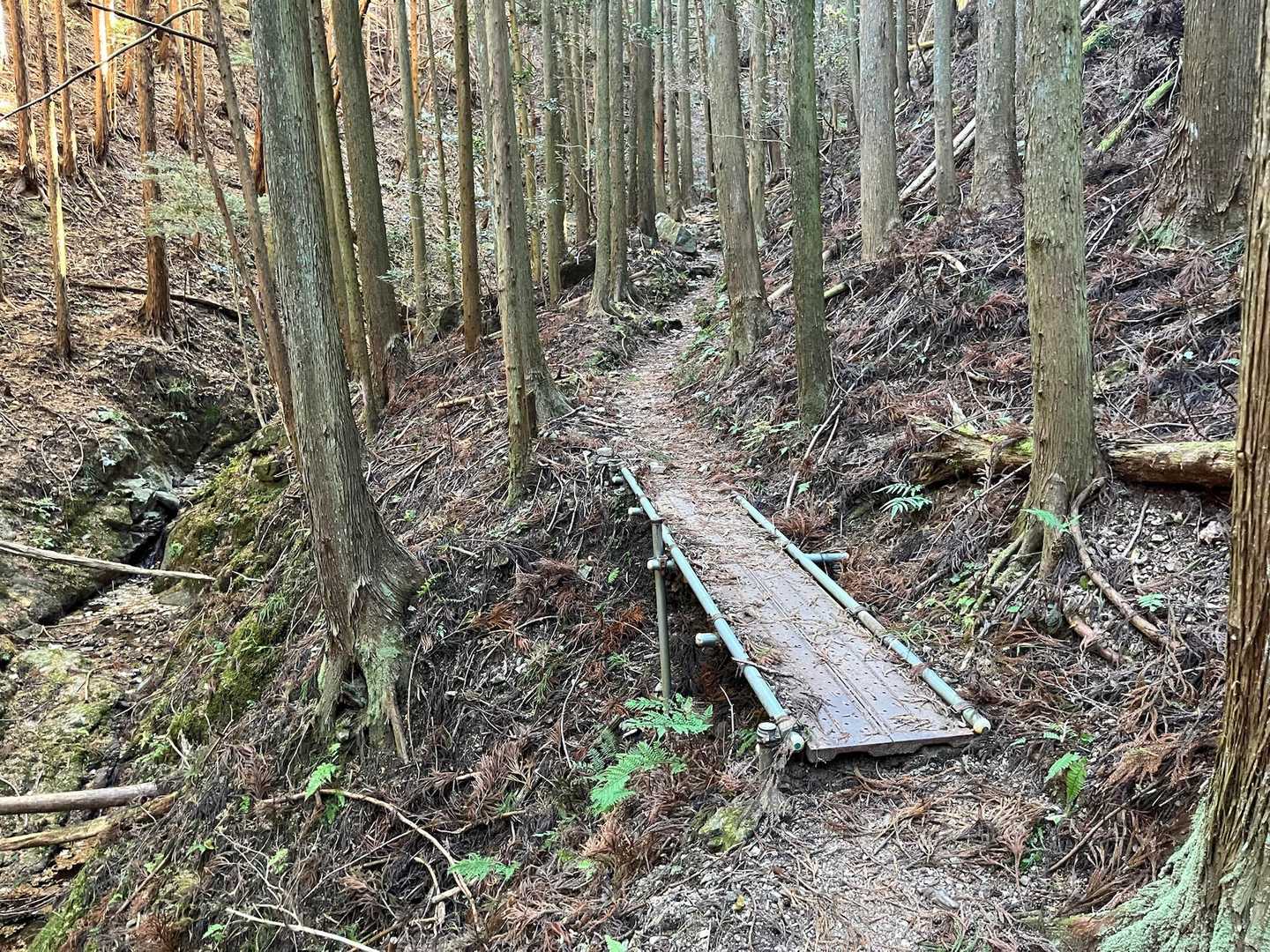 第二の橋
✳︎これも鋼製足場板