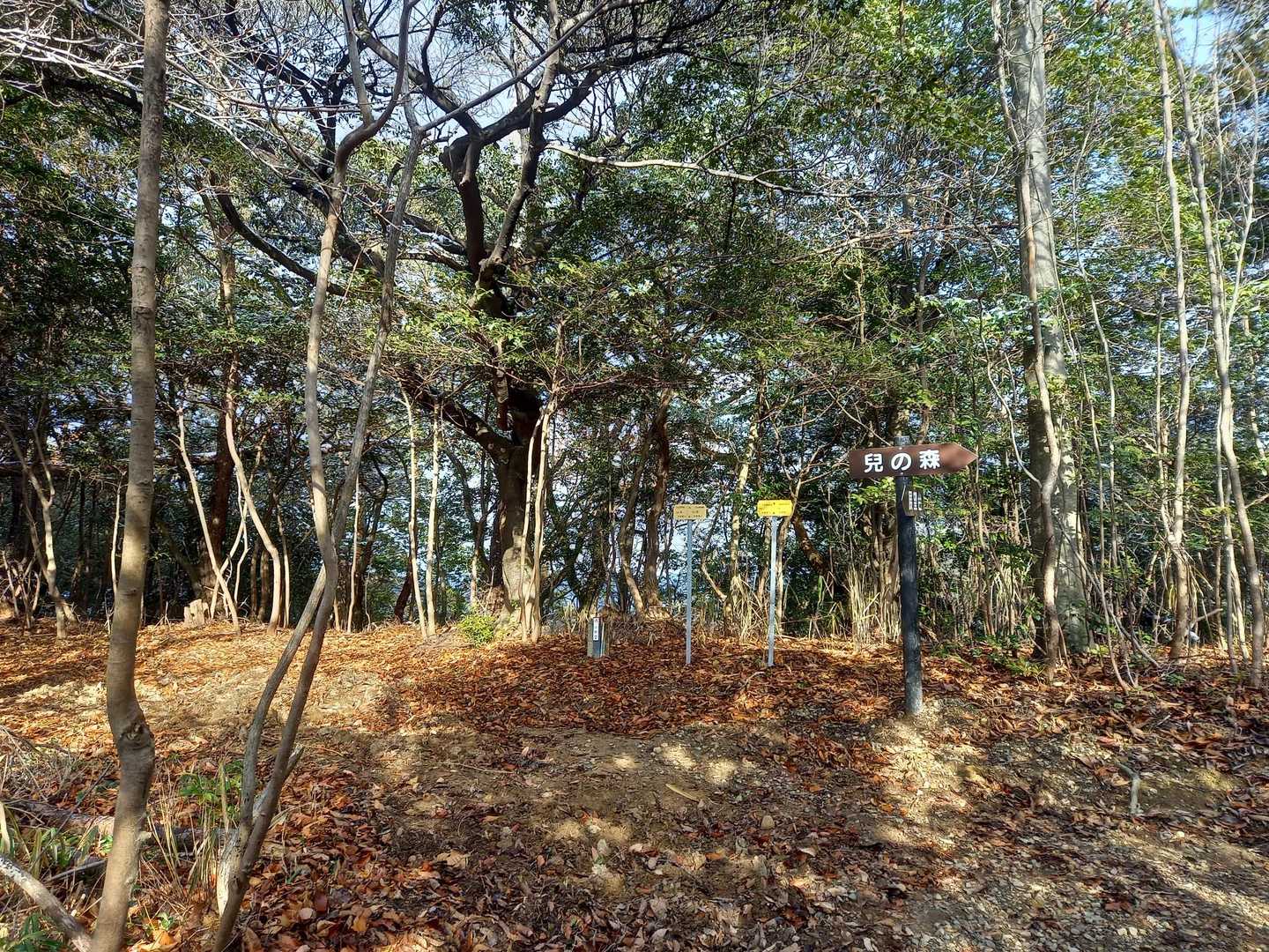 さぁ登山道を歩き続けて…分岐があるっす😲
ここを左へ行くと…YAMAPでは通行禁止🚫区域です…YAMAP利用しない人なら通行しないのか❓ここはアチき😎が働いて働いて働いて見て参ります✨