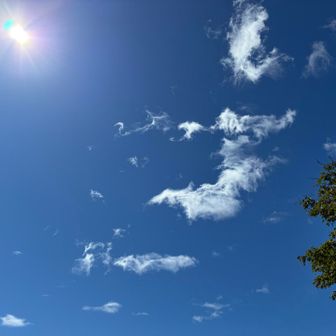 わぁーい！青空🩵💙