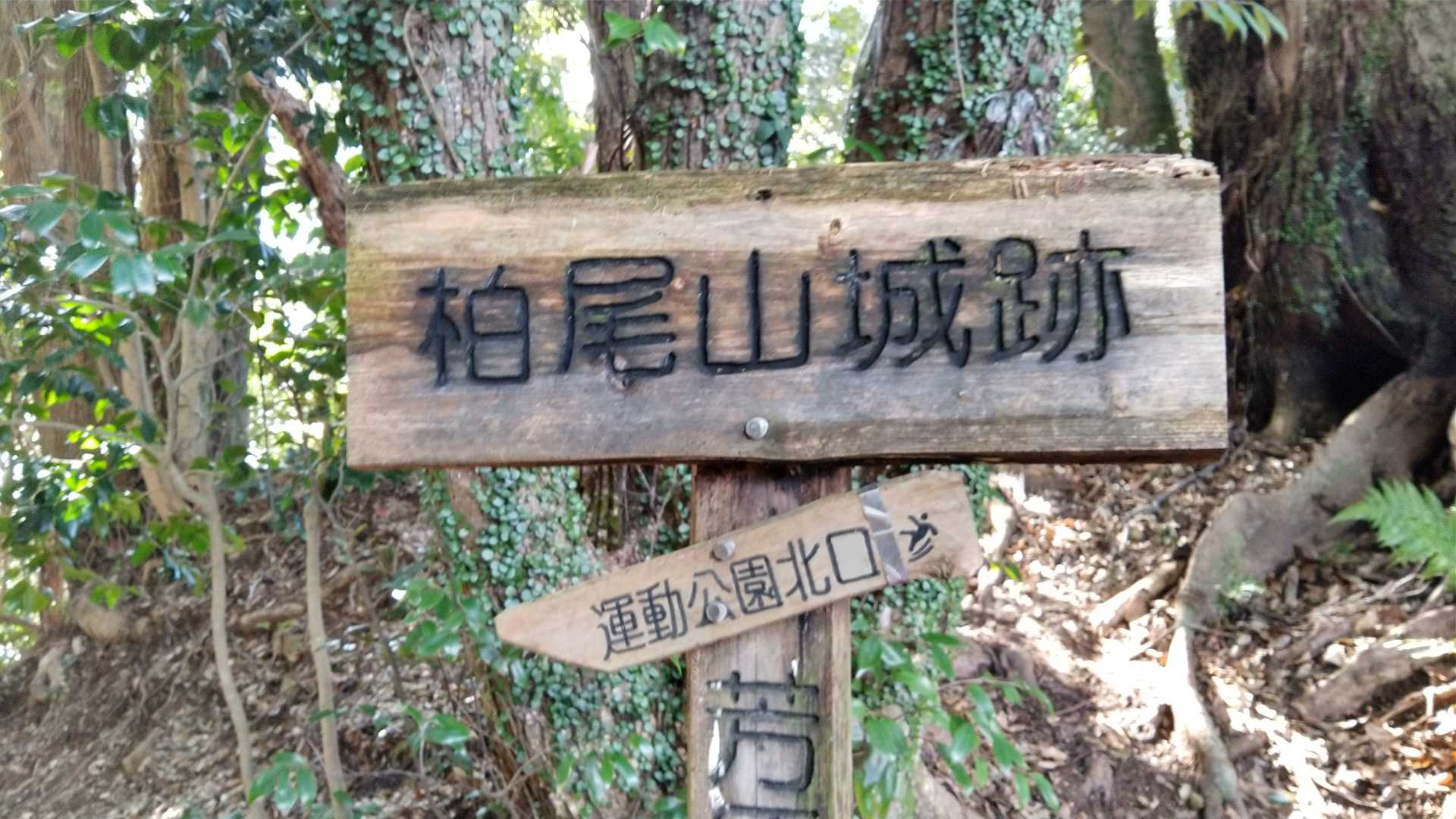 柏尾山の写真
