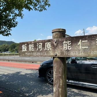飲んだ水が全部汗で噴き出ていく。
涼まないと体が溶ける…