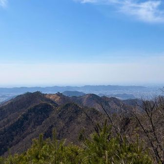 桐生市市街を望む