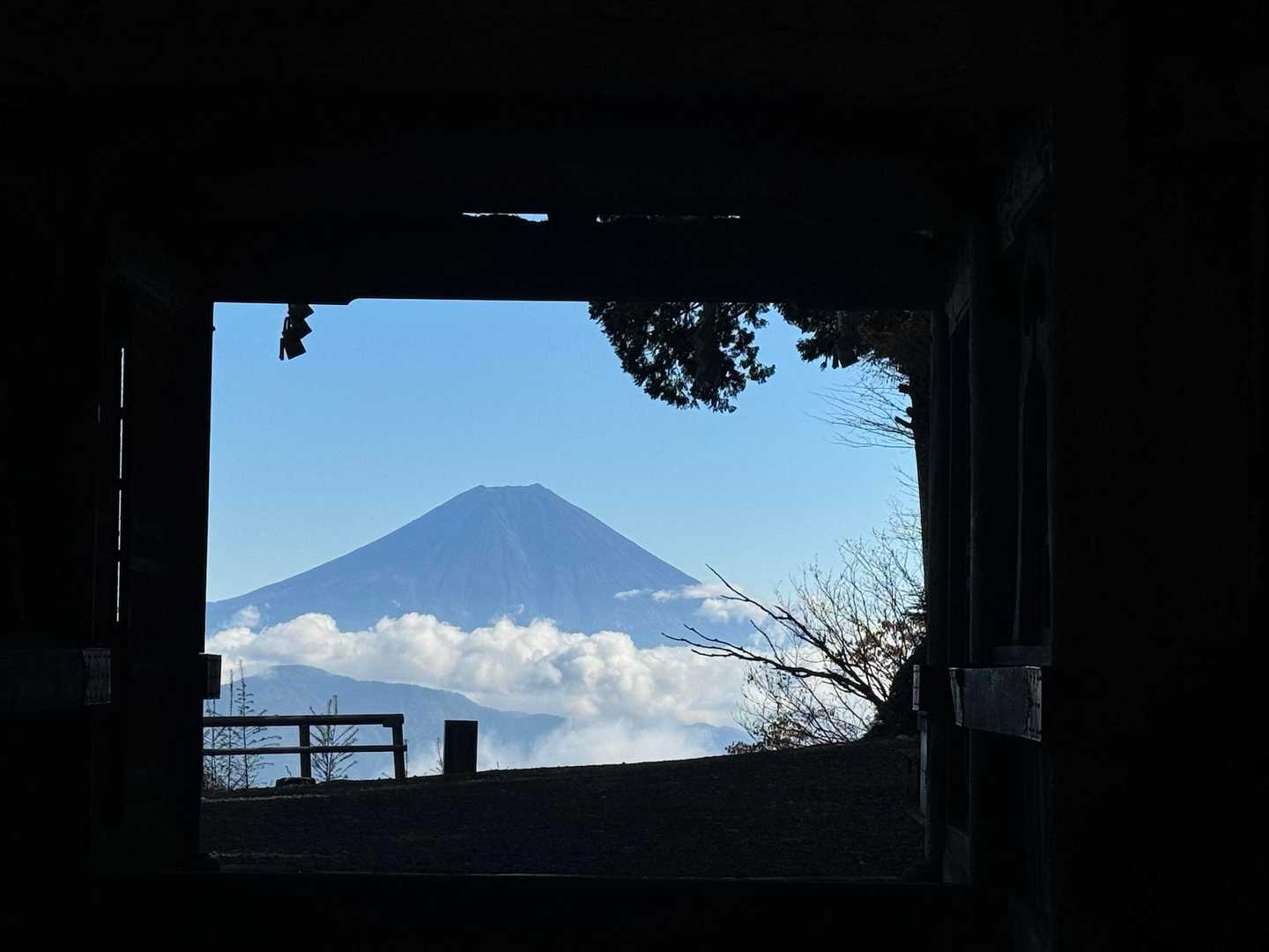 美しい🤩