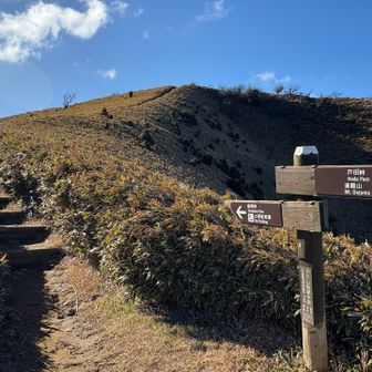 車道から再び登山道へ