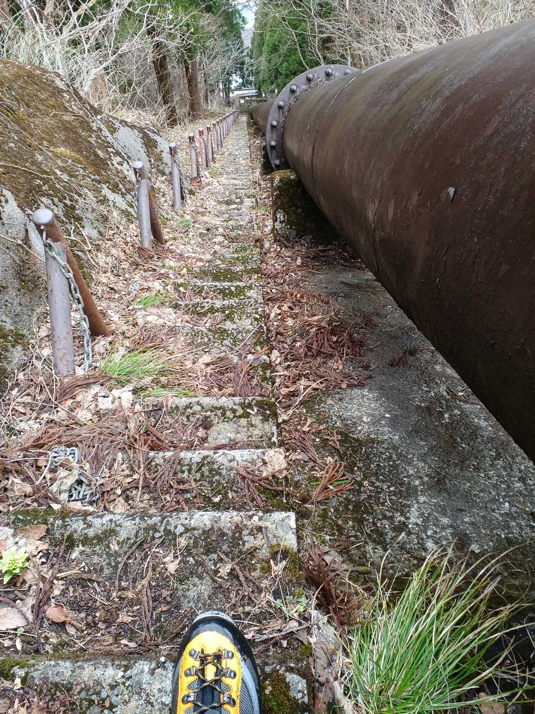 さあて…まずは千段階段😤‼️
一段一段に集中して👀…突破🙌💦