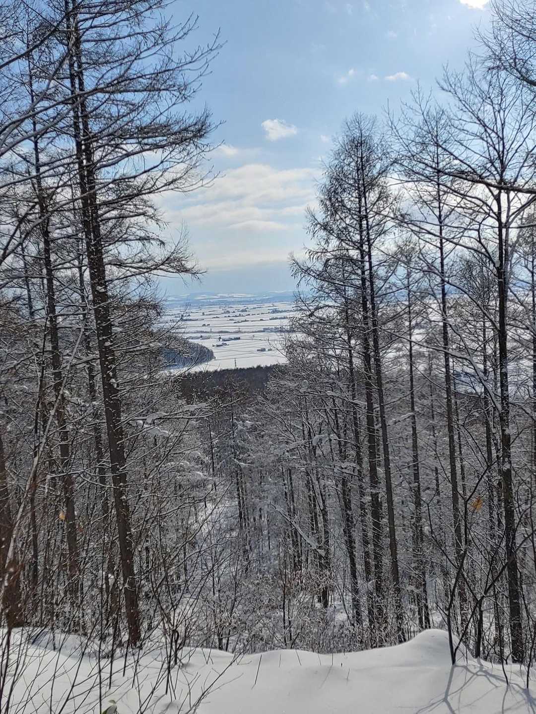 下山はいつものルートで

本日のトレーニング終了🙋