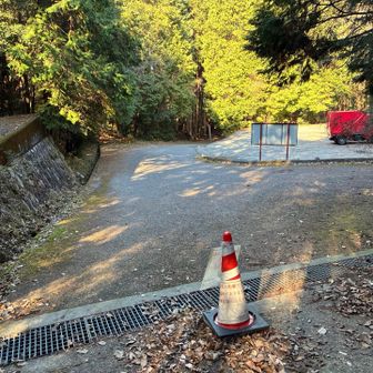 周回コースの帰りは、植林の中をどんどん下り、この場所からは舗装路を歩きます。