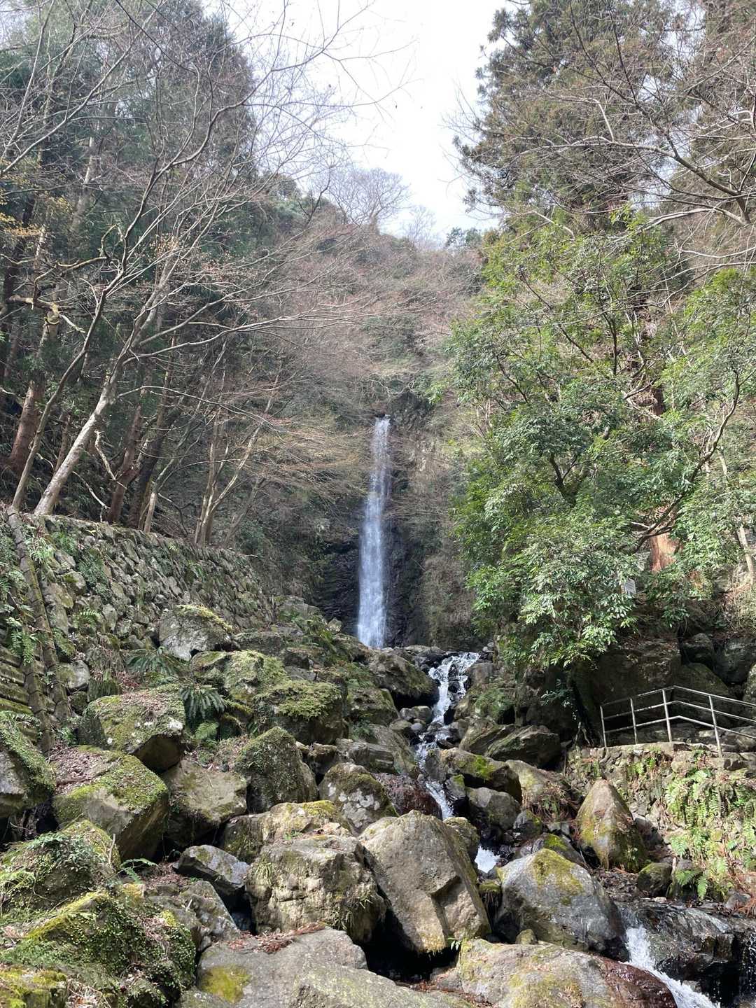 三方山-小倉山-養老山-北尾根P826峰-笙ヶ岳-裏山 周回コースの写真