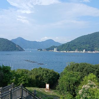 展望台から。淡島の奥に鷲頭山、大平山。富士山見えてたら最高なんだが。