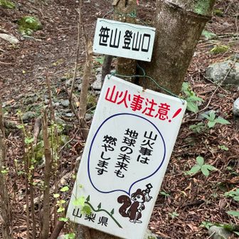 ダイレクト尾根降りてきました。
キツかった〜。