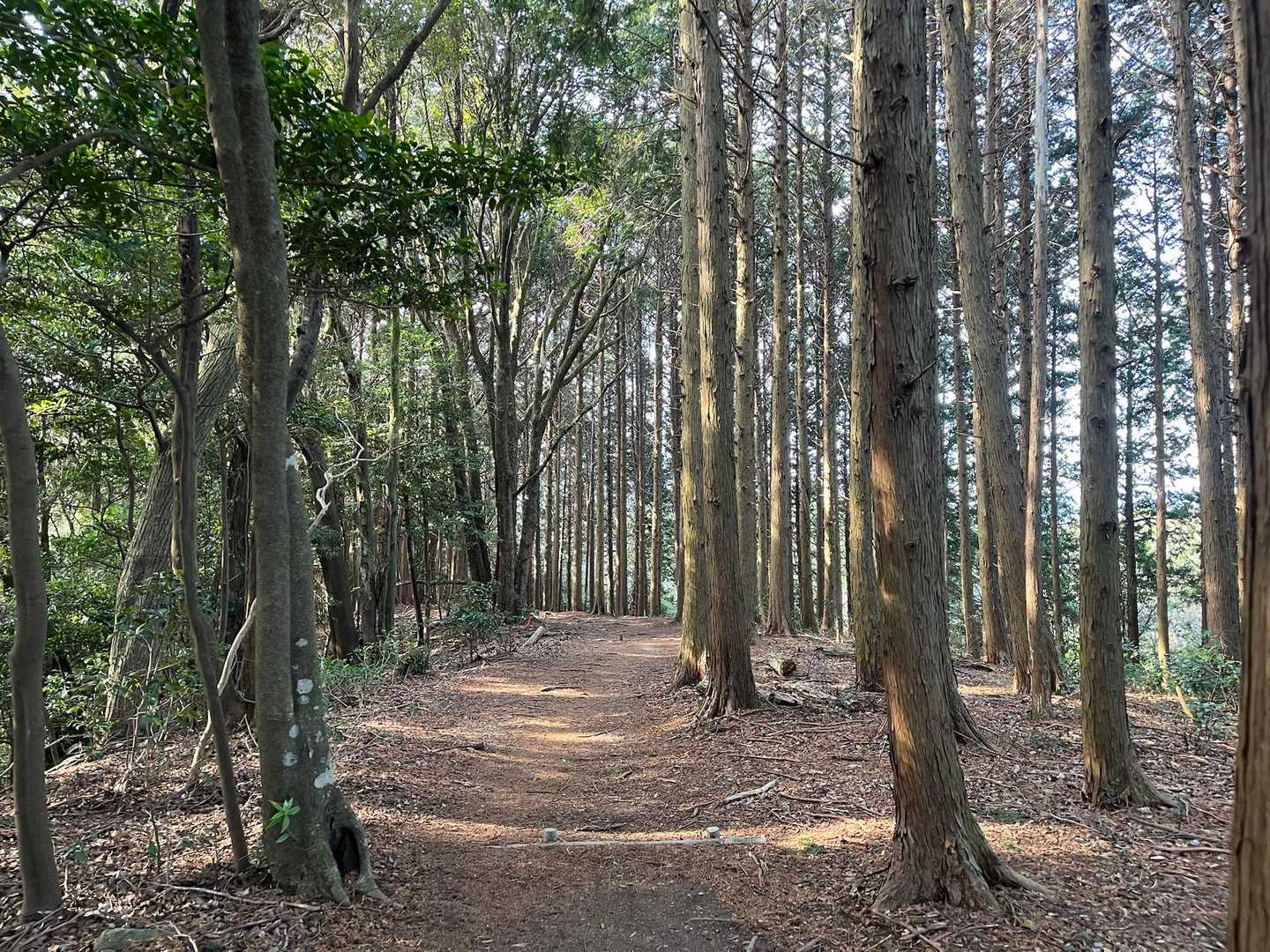 気持ちヨキですね😊