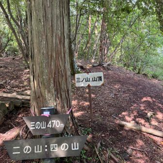はい山頂