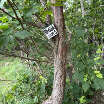 山頂までの道のりは涼しい風でよかったのですが
山頂では爆風☆