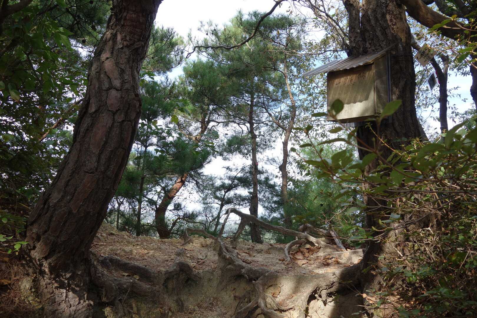 一徳防山の写真