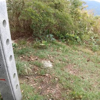 展望所の音の岩