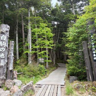 おつかれ山⛰️