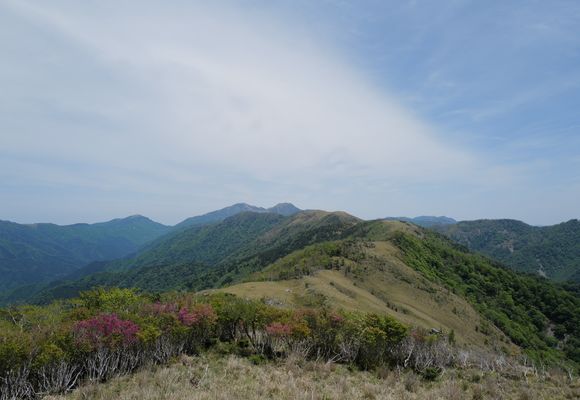 白髪山（高知・1770m）| 登山ルート・天気 | YAMAP / ヤマップ