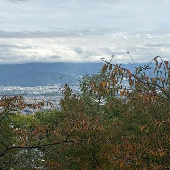 長野市の眺め　木がなければもっと絶景