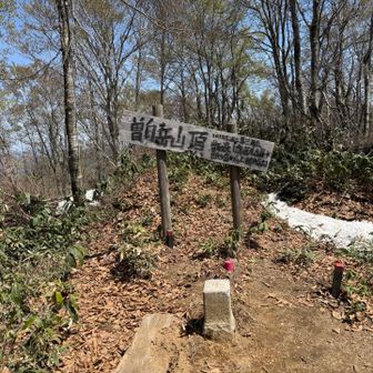一旦山頂へ
今年は雪解けが早すぎる
