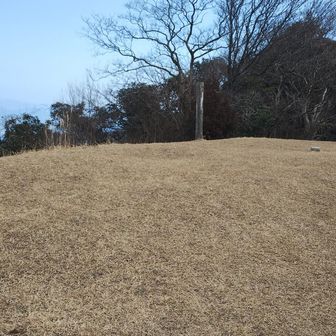 頂上は森が抜け見晴らし最高！