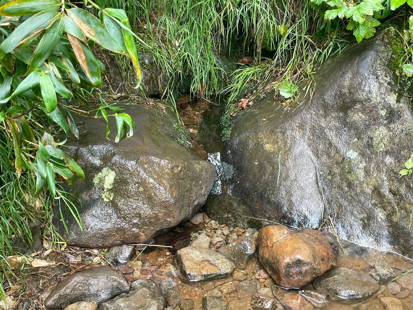 栂池ロープウェイ 自然園駅-栂池登山道入口-天狗原-乗鞍岳 往復コースの写真