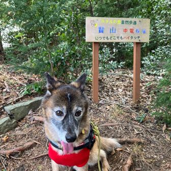 「贄山」にてパチリ
