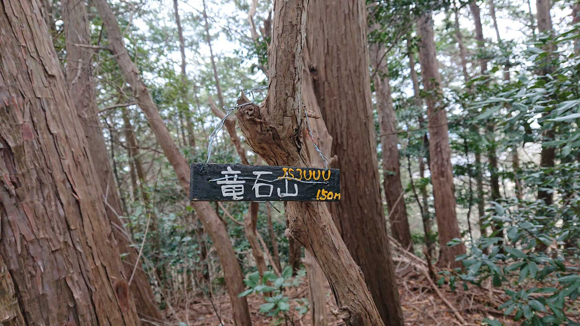 しか～し！すぐに道が無くなり、落武者状態！普通の山なら 諦めていたであろう！小山であっても 油断はならぬ！