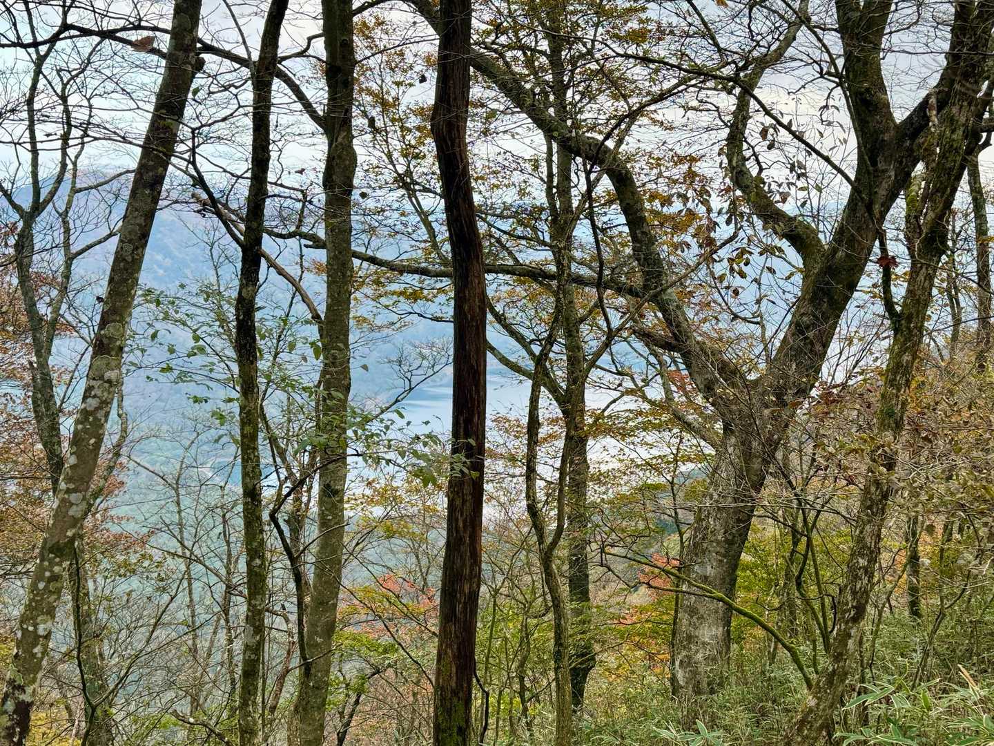 隙間から見えた本栖湖