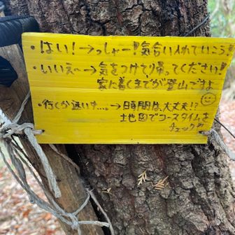 ここからだとまぁ中々に大変ですからね〜（笑）