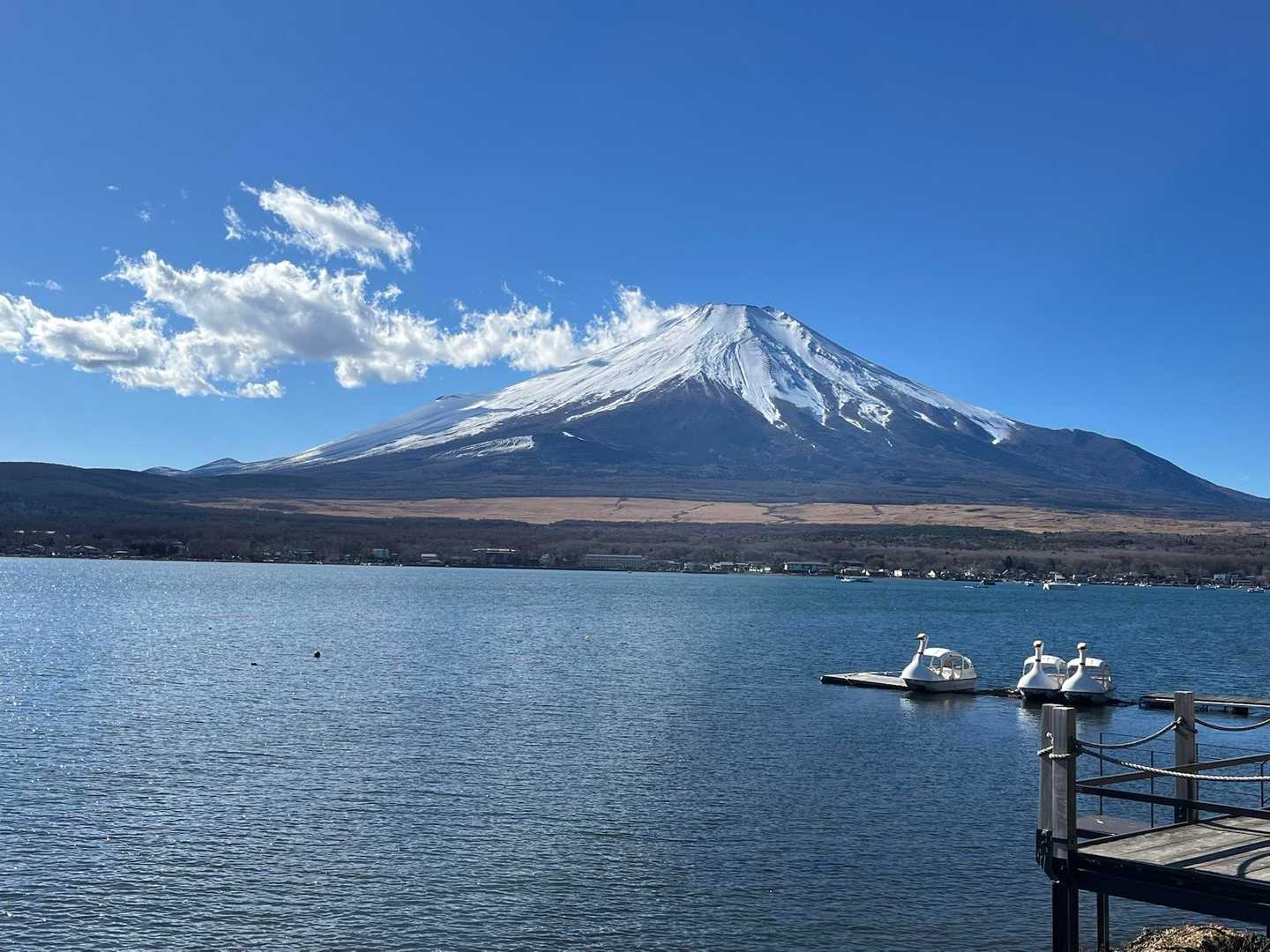 相変わらず美しい富士山
湖岸の公園やお店は外国人観光客でいっぱい