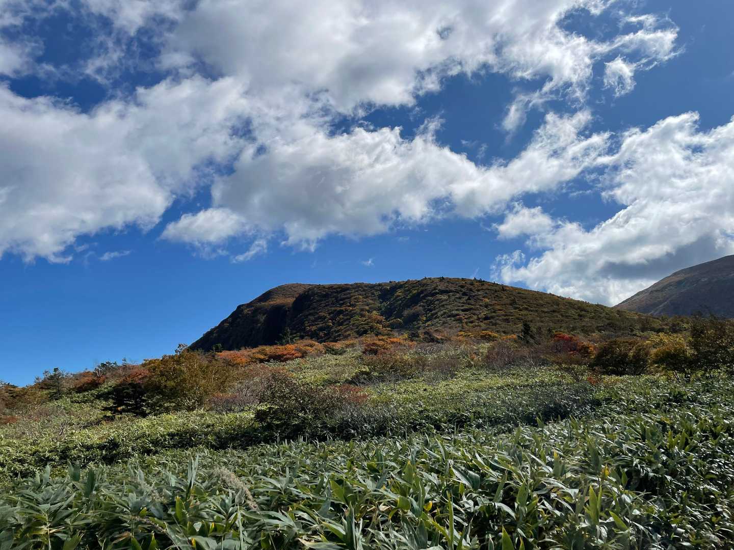 あれが鬼面山か？