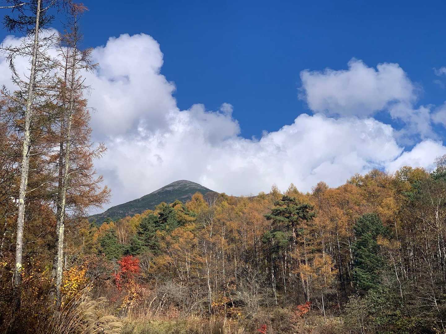 ココに来ての絶景！
